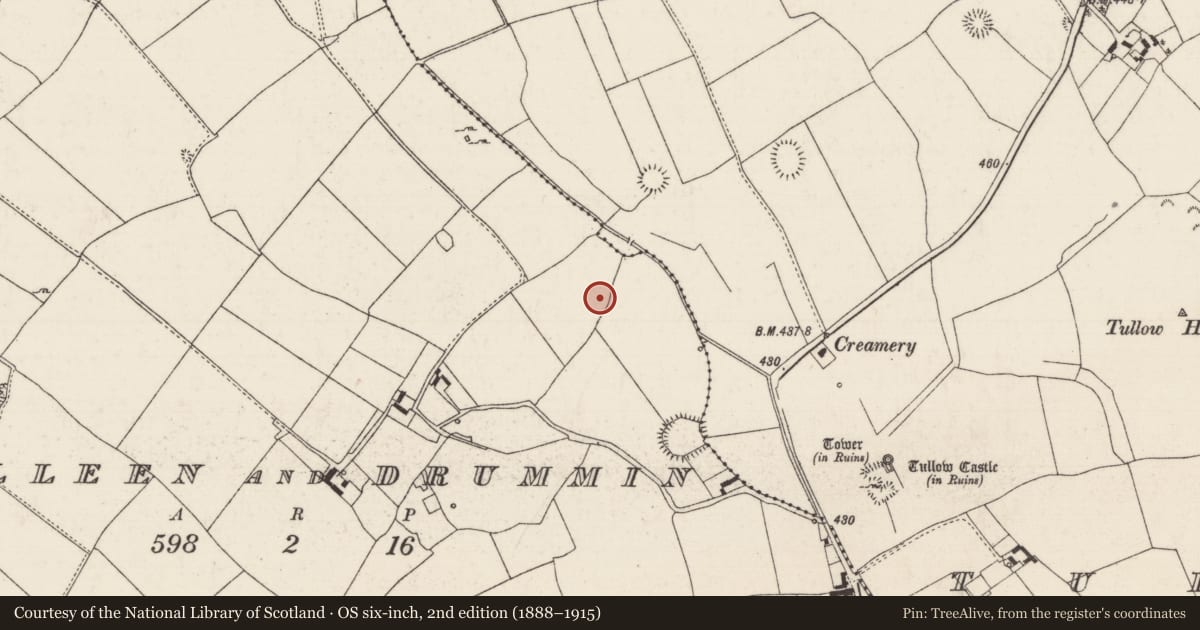 Ordnance Survey six-inch map, 2nd edition (1888–1915) covering the location of Earthwork, Lisdalleen And Drummin, County Tipperary North, with a pin at the register's coordinates