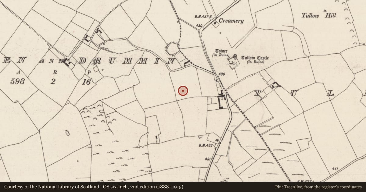 Ordnance Survey six-inch map, 2nd edition (1888–1915) covering the location of Earthwork, Lisdalleen And Drummin, County Tipperary North, with a pin at the register's coordinates