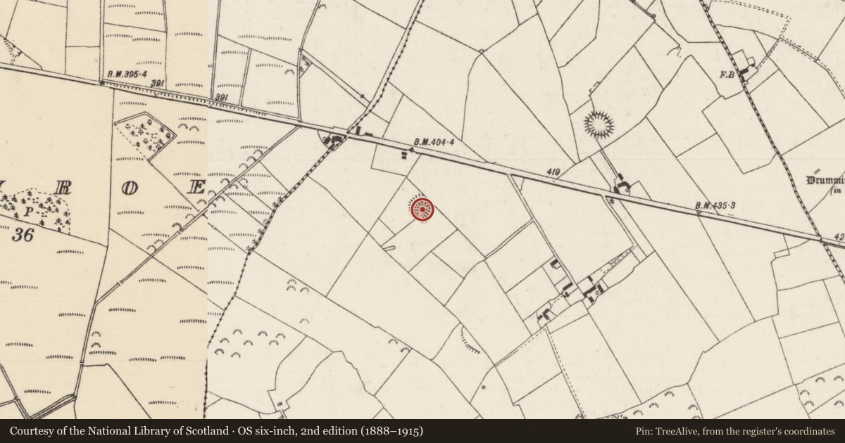 Ordnance Survey six-inch map, 2nd edition (1888–1915) covering the location of Ringfort - rath, Ballyknockane (Templetouhy Par.), County Tipperary North, with a pin at the register's coordinates