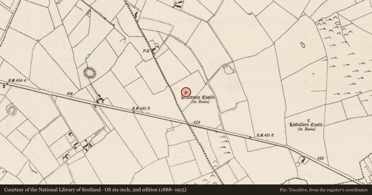 Ordnance Survey six-inch map, 2nd edition (1888–1915) covering the location of Castle - tower house, Lisdalleen And Drummin, County Tipperary North, with a pin at the register's coordinates