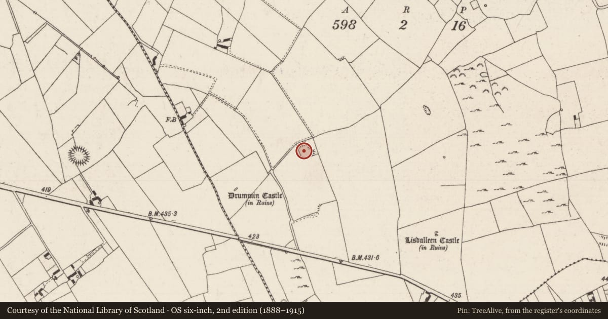 Ordnance Survey six-inch map, 2nd edition (1888–1915) covering the location of Ringfort - rath, Lisdalleen And Drummin, County Tipperary North, with a pin at the register's coordinates