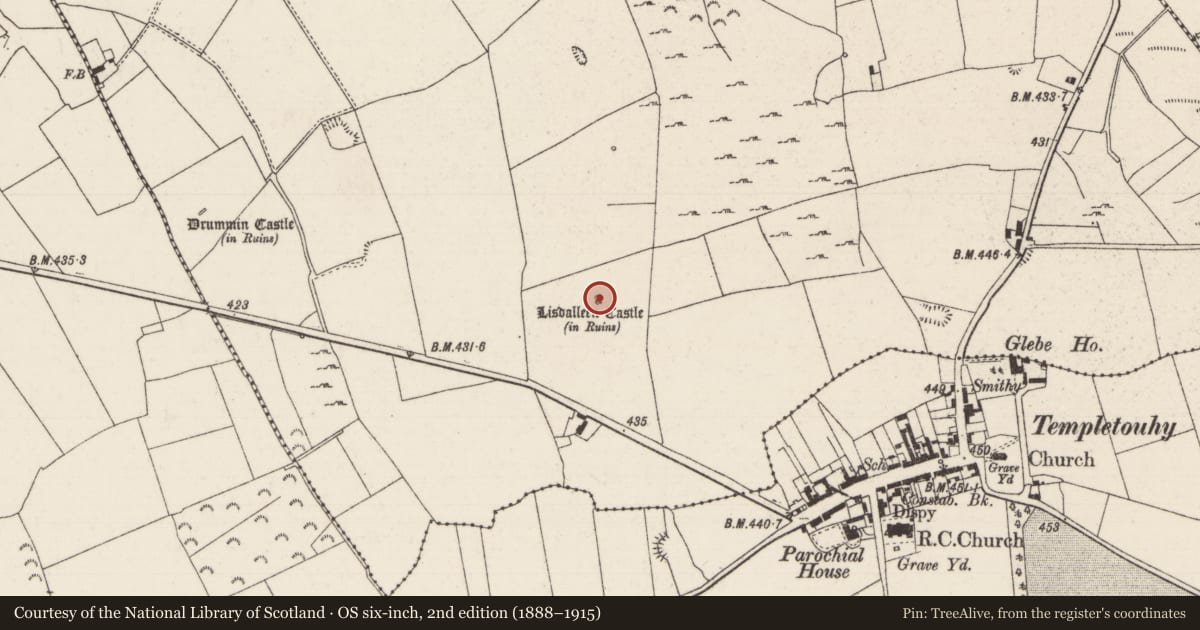 Ordnance Survey six-inch map, 2nd edition (1888–1915) covering the location of Castle - unclassified, Lisdalleen And Drummin, County Tipperary North, with a pin at the register's coordinates