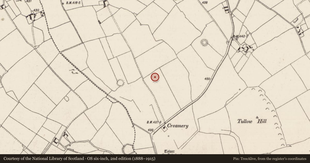 Ordnance Survey six-inch map, 2nd edition (1888–1915) covering the location of Enclosure, Tullowmacjames, County Tipperary North, with a pin at the register's coordinates