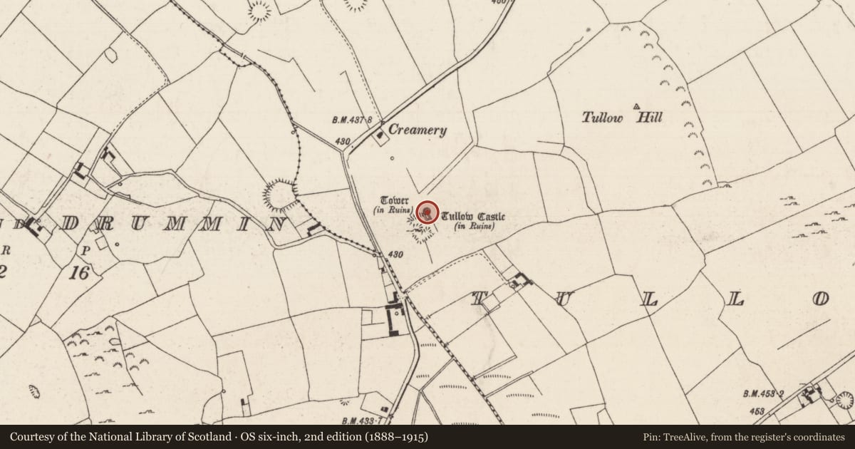 Ordnance Survey six-inch map, 2nd edition (1888–1915) covering the location of Castle - Anglo-Norman masonry castle, Tullowmacjames, County Tipperary North, with a pin at the register's coordinates