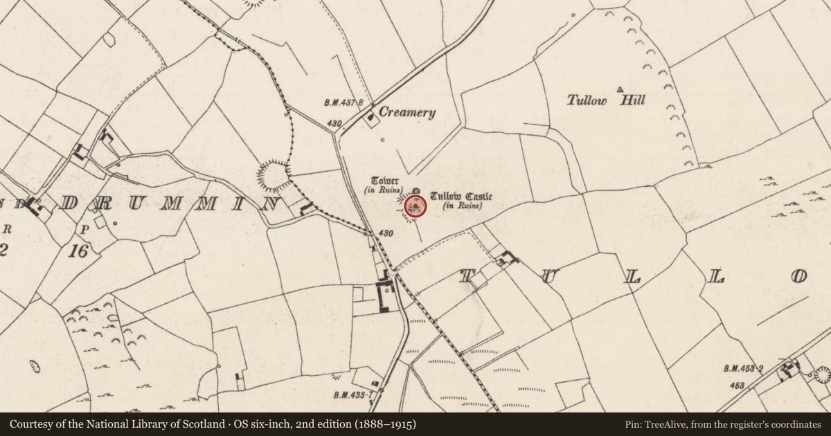 Ordnance Survey six-inch map, 2nd edition (1888–1915) covering the location of Bawn, Tullowmacjames, County Tipperary North, with a pin at the register's coordinates