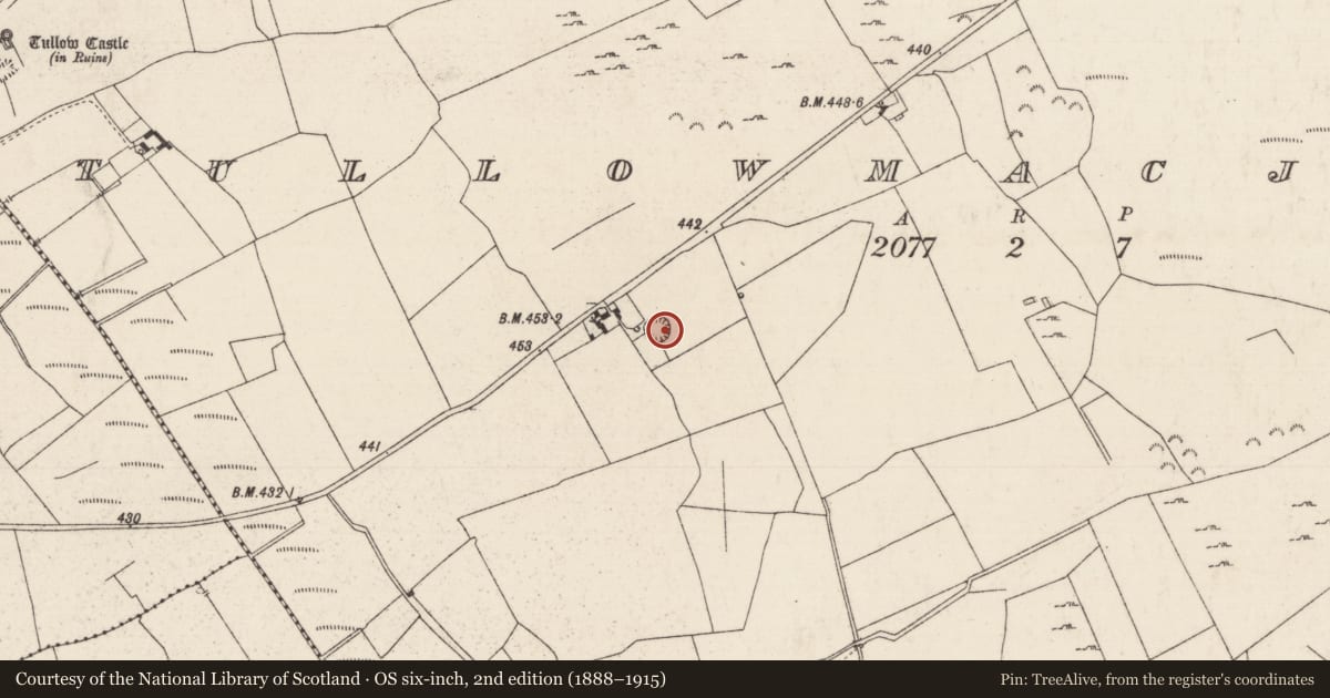 Ordnance Survey six-inch map, 2nd edition (1888–1915) covering the location of Enclosure, Tullowmacjames, County Tipperary North, with a pin at the register's coordinates