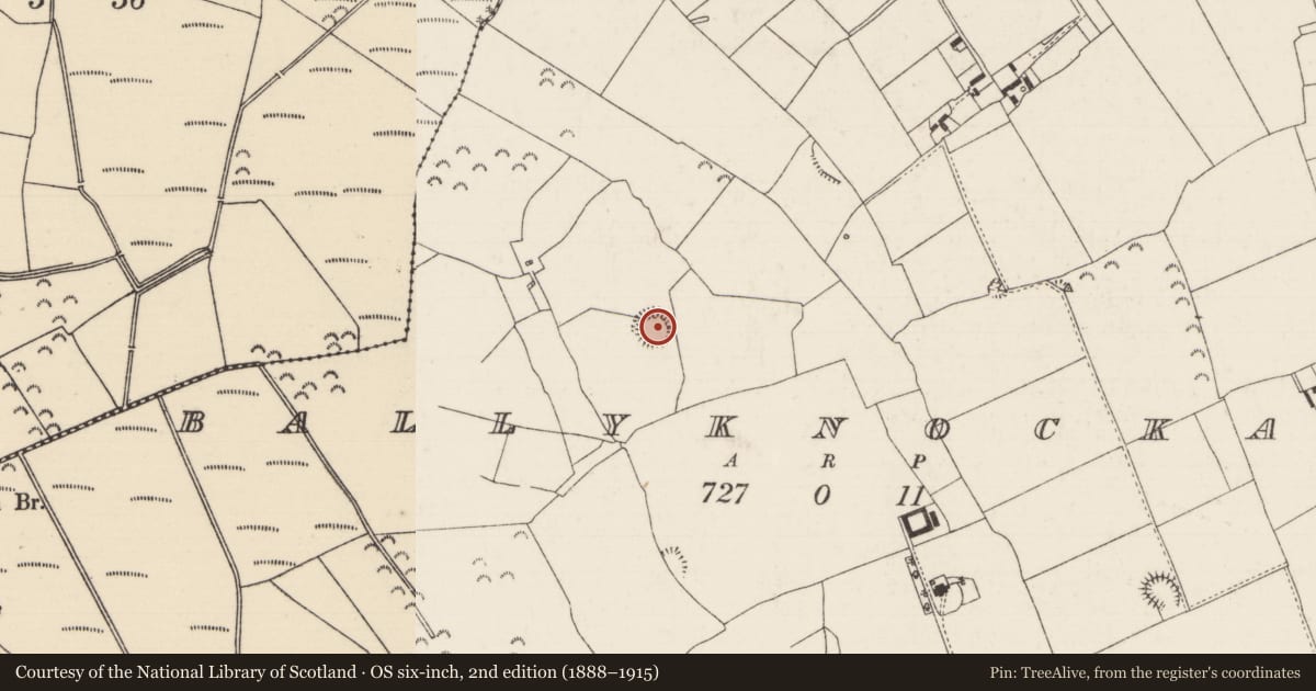 Ordnance Survey six-inch map, 2nd edition (1888–1915) covering the location of Ringfort - rath, Ballyknockane (Templetouhy Par.), County Tipperary North, with a pin at the register's coordinates