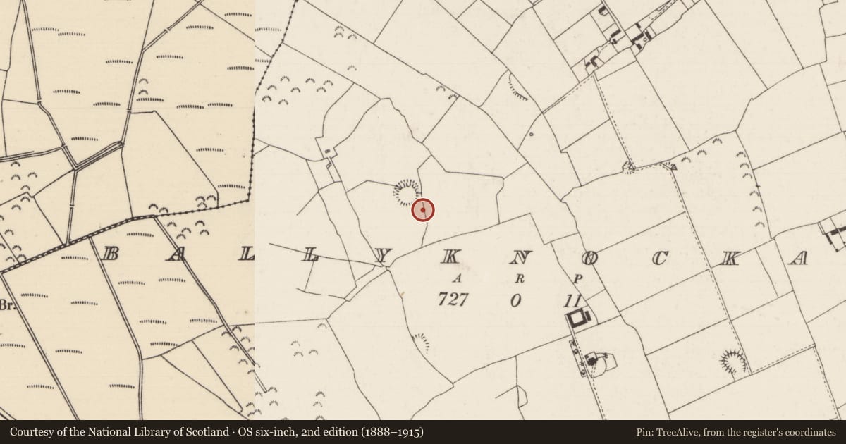 Ordnance Survey six-inch map, 2nd edition (1888–1915) covering the location of Earthwork, Ballyknockane (Templetouhy Par.), County Tipperary North, with a pin at the register's coordinates
