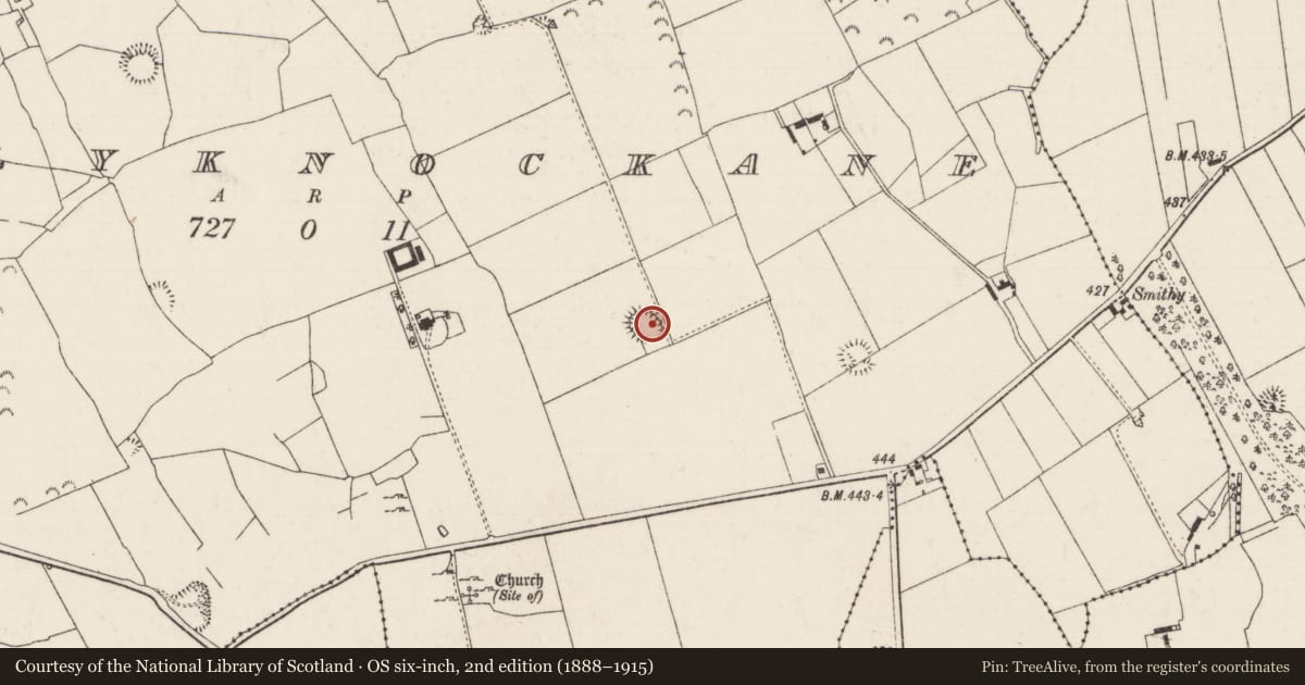 Ordnance Survey six-inch map, 2nd edition (1888–1915) covering the location of Enclosure, Ballyknockane (Templetouhy Par.), County Tipperary North, with a pin at the register's coordinates