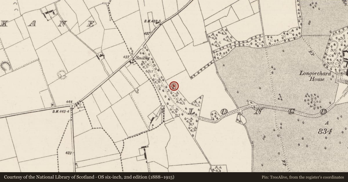 Ordnance Survey six-inch map, 2nd edition (1888–1915) covering the location of Enclosure, Longorchard, County Tipperary North, with a pin at the register's coordinates