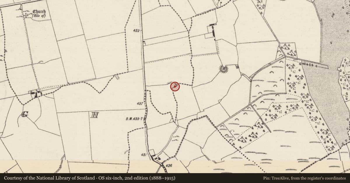 Ordnance Survey six-inch map, 2nd edition (1888–1915) covering the location of Enclosure, Cranagh, Longorchard, County Tipperary North, with a pin at the register's coordinates