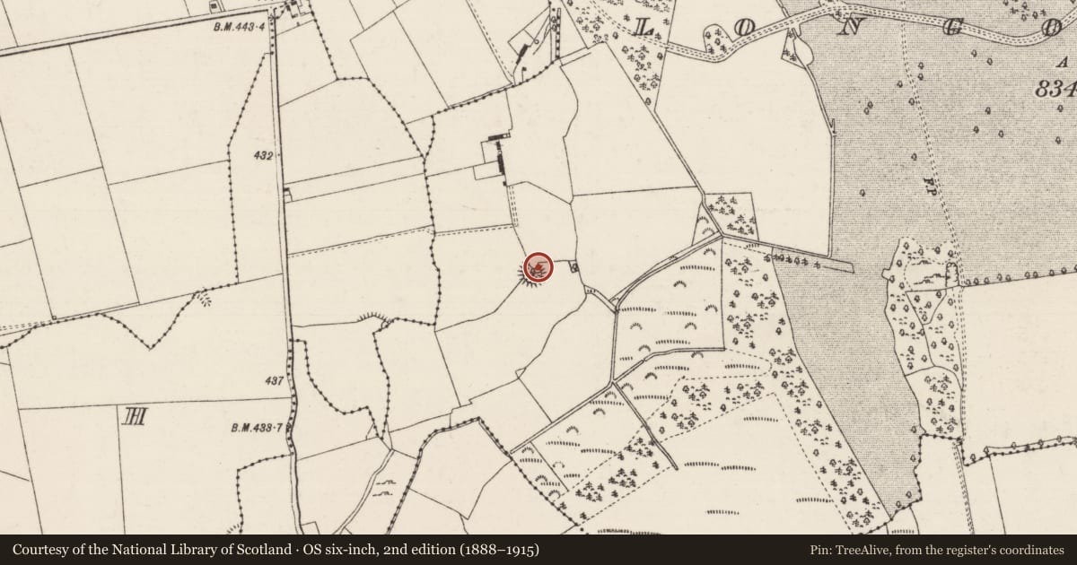 Ordnance Survey six-inch map, 2nd edition (1888–1915) covering the location of Ringfort - rath, Longorchard, County Tipperary North, with a pin at the register's coordinates