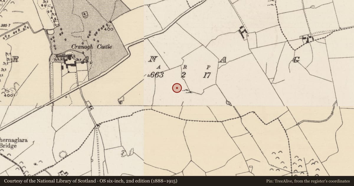 Ordnance Survey six-inch map, 2nd edition (1888–1915) covering the location of Field system, Cranagh, County Tipperary North, with a pin at the register's coordinates