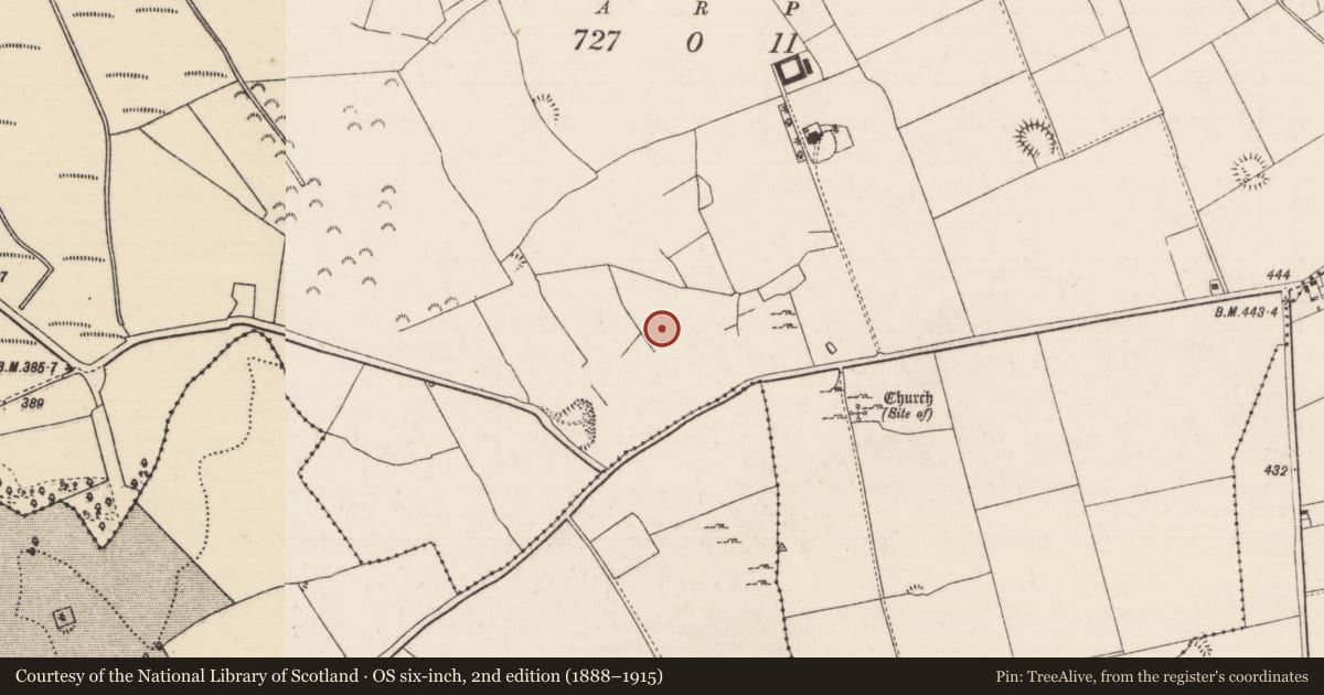 Ordnance Survey six-inch map, 2nd edition (1888–1915) covering the location of Settlement deserted - medieval, Cranagh, County Tipperary North, with a pin at the register's coordinates