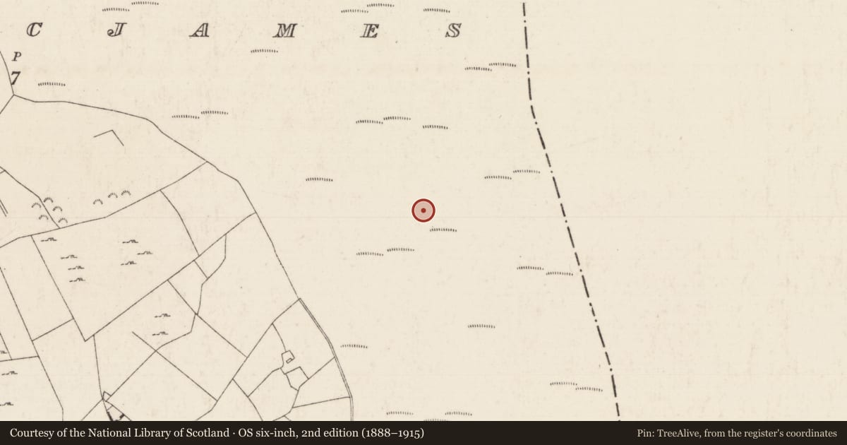Ordnance Survey six-inch map, 2nd edition (1888–1915) covering the location of Road - class 1 togher, Tullowmacjames, County Tipperary North, with a pin at the register's coordinates