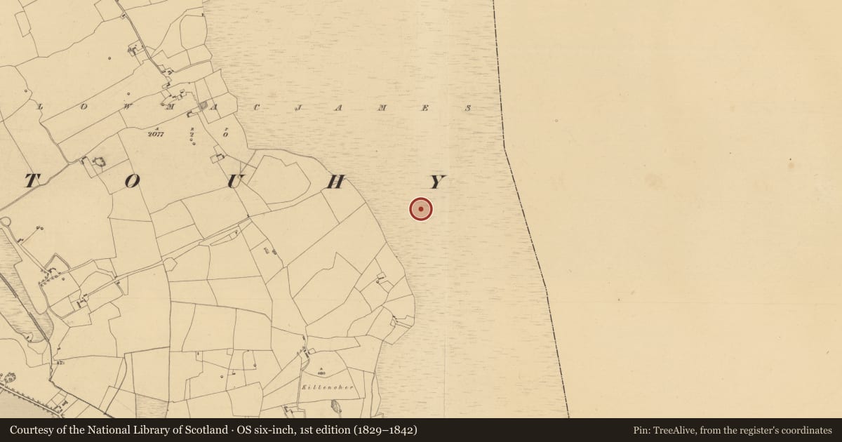 Ordnance Survey six-inch map, 1st edition (1829–1842) covering the location of Road - class 1 togher, Tullowmacjames, County Tipperary North, with a pin at the register's coordinates