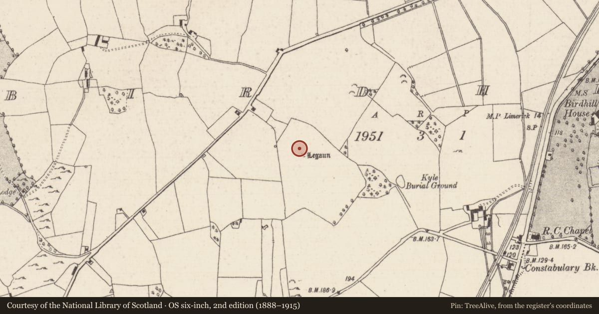Ordnance Survey six-inch map, 2nd edition (1888–1915) covering the location of Standing stone, Birdhill, County Tipperary North, with a pin at the register's coordinates