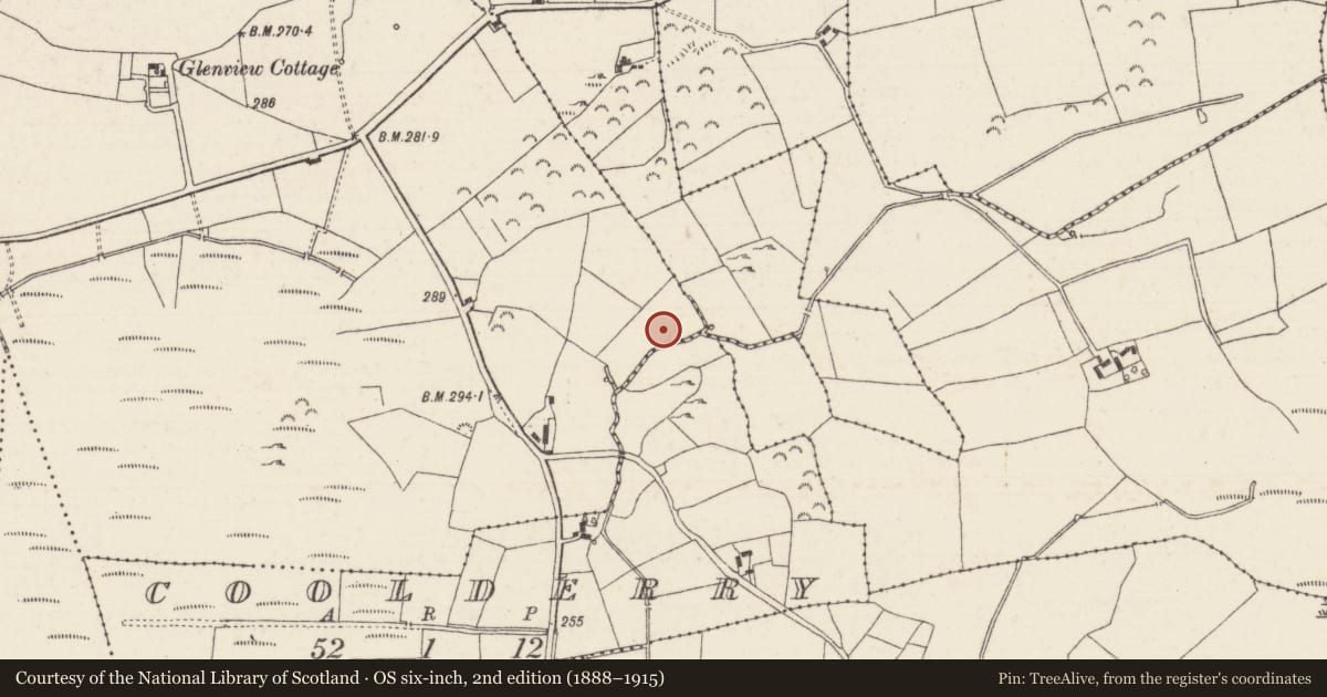 Ordnance Survey six-inch map, 2nd edition (1888–1915) covering the location of Fulacht fia, Gortybrigane, County Tipperary North, with a pin at the register's coordinates
