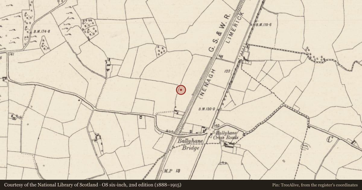 Ordnance Survey six-inch map, 2nd edition (1888–1915) covering the location of Fulacht fia, Birdhill, County Tipperary North, with a pin at the register's coordinates