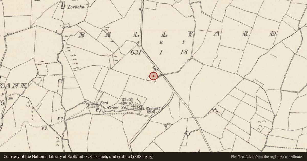 Ordnance Survey six-inch map, 2nd edition (1888–1915) covering the location of Bullaun stone, Ballyard, County Tipperary North, with a pin at the register's coordinates