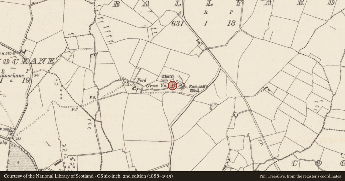 Ordnance Survey six-inch map, 2nd edition (1888–1915) covering the location of Church, Ballyard, County Tipperary North, with a pin at the register's coordinates