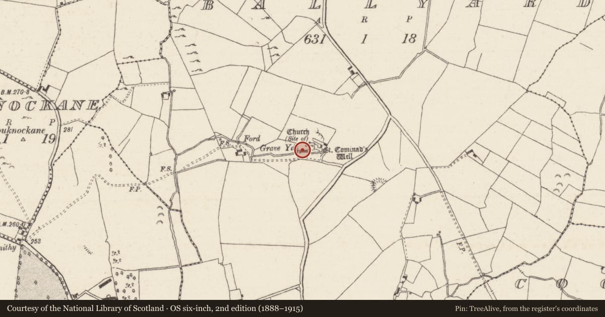 Ordnance Survey six-inch map, 2nd edition (1888–1915) covering the location of Graveyard, Ballyard, County Tipperary North, with a pin at the register's coordinates