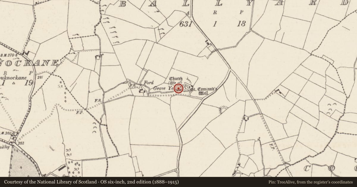 Ordnance Survey six-inch map, 2nd edition (1888–1915) covering the location of Font, Ballyard, County Tipperary North, with a pin at the register's coordinates