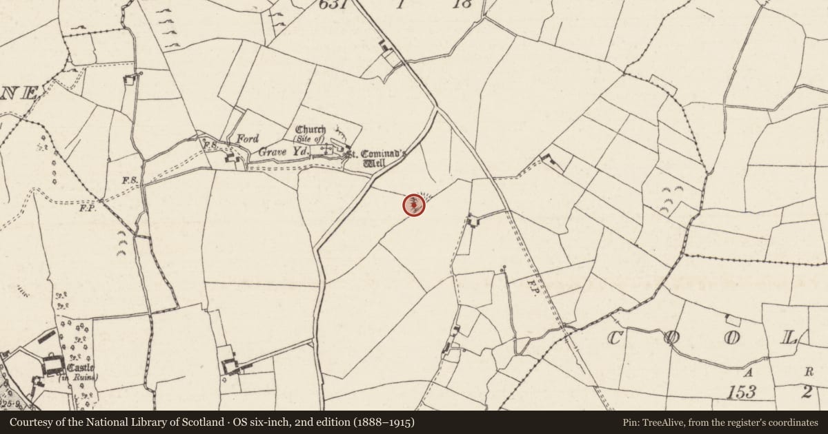 Ordnance Survey six-inch map, 2nd edition (1888–1915) covering the location of Ringfort - rath, Ballyard, County Tipperary North, with a pin at the register's coordinates