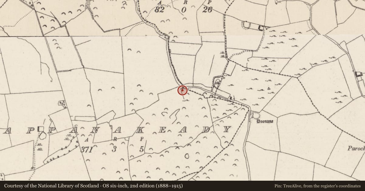 Ordnance Survey six-inch map, 2nd edition (1888–1915) covering the location of Ritual site - holy well, Cappanakeady, County Tipperary North, with a pin at the register's coordinates