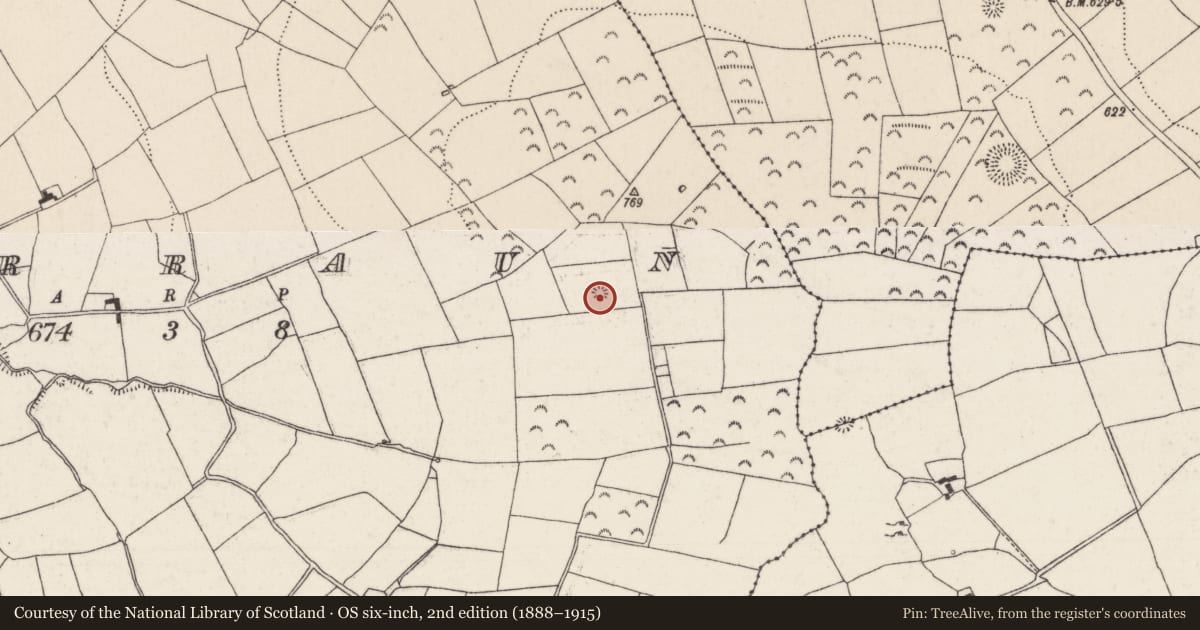 Ordnance Survey six-inch map, 2nd edition (1888–1915) covering the location of Barrow - ring-barrow, Garraun (Kilnarath Par.), County Tipperary North, with a pin at the register's coordinates