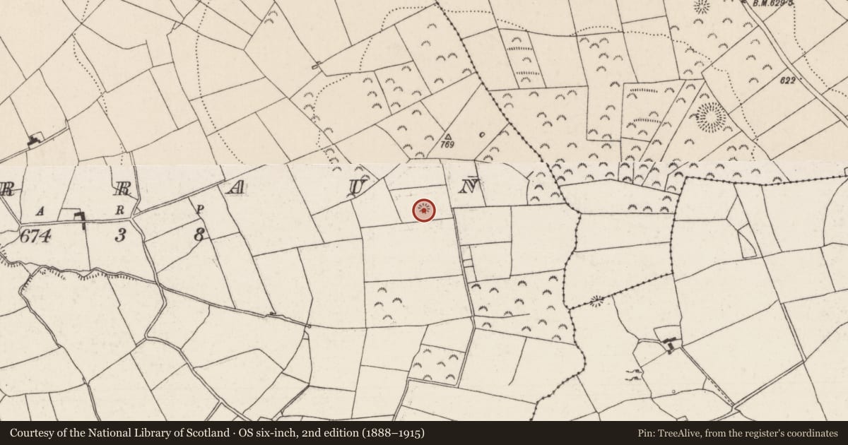 Ordnance Survey six-inch map, 2nd edition (1888–1915) covering the location of Standing stone, Garraun (Kilnarath Par.), County Tipperary North, with a pin at the register's coordinates
