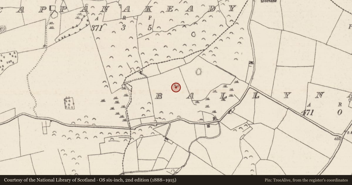 Ordnance Survey six-inch map, 2nd edition (1888–1915) covering the location of Barrow - mound barrow, Ballynahinch (Kilcomenty Par.), County Tipperary North, with a pin at the register's coordinates