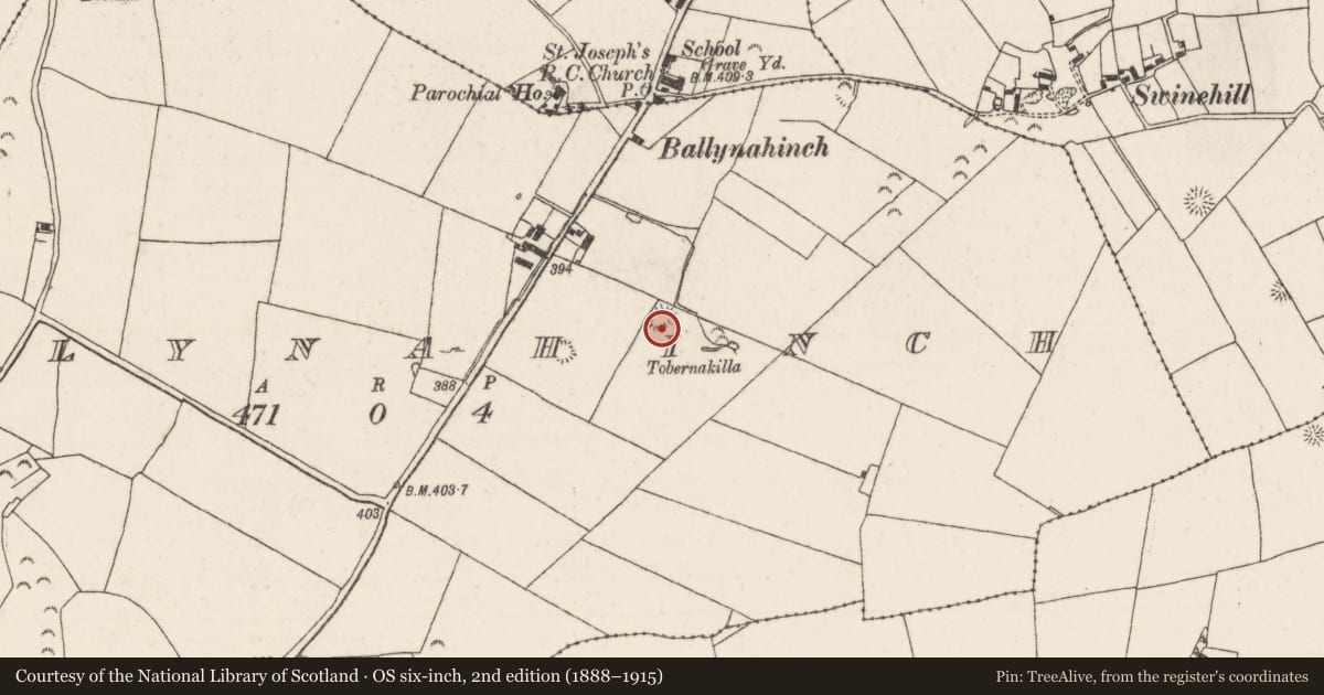 Ordnance Survey six-inch map, 2nd edition (1888–1915) covering the location of Enclosure, Ballynahinch (Kilcomenty Par.), County Tipperary North, with a pin at the register's coordinates