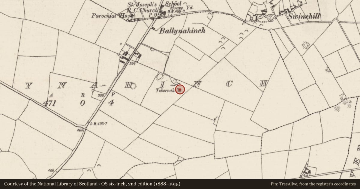 Ordnance Survey six-inch map, 2nd edition (1888–1915) covering the location of Well, Ballynahinch (Kilcomenty Par.), County Tipperary North, with a pin at the register's coordinates