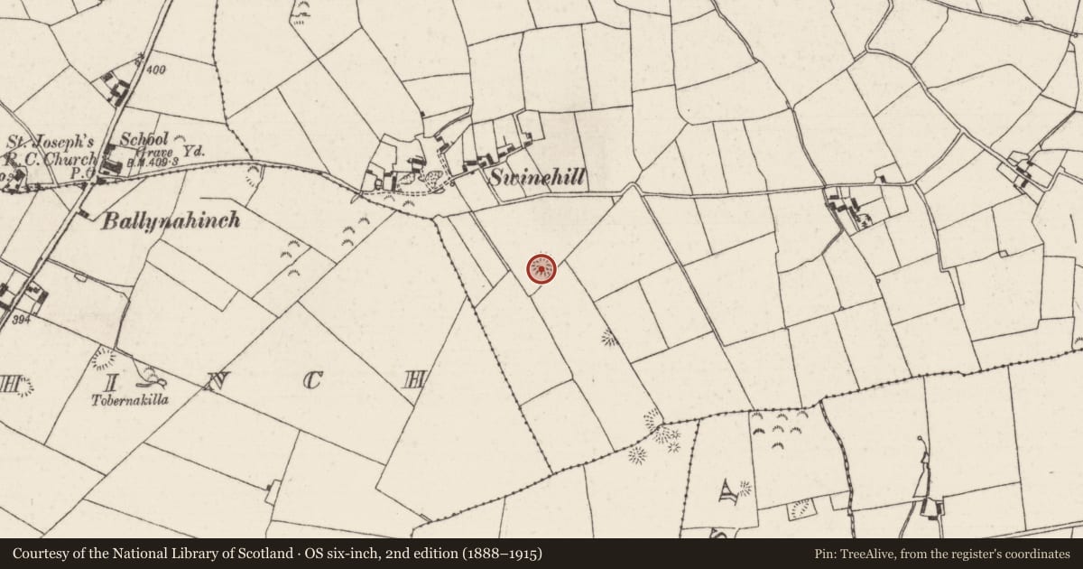 Ordnance Survey six-inch map, 2nd edition (1888–1915) covering the location of Ringfort - rath, Garraun (Kilnarath Par.), County Tipperary North, with a pin at the register's coordinates