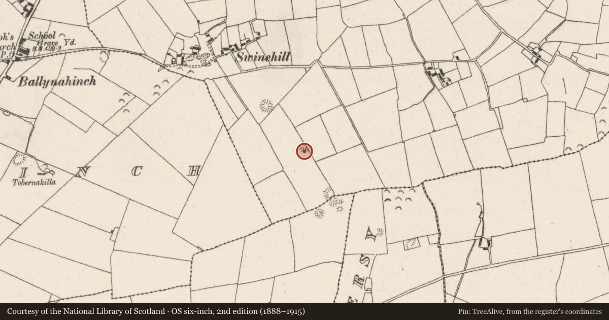 Ordnance Survey six-inch map, 2nd edition (1888–1915) covering the location of Barrow - ring-barrow, Garraun (Kilnarath Par.), County Tipperary North, with a pin at the register's coordinates