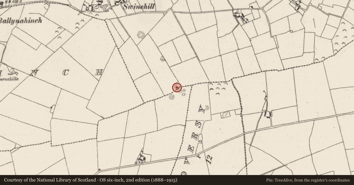 Ordnance Survey six-inch map, 2nd edition (1888–1915) covering the location of Barrow - ring-barrow, Farneigh, Garraun (Kilnarath Par.), County Tipperary North, with a pin at the register's coordinates
