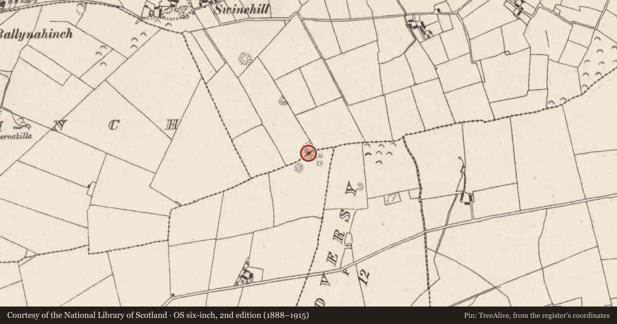 Ordnance Survey six-inch map, 2nd edition (1888–1915) covering the location of Barrow - ring-barrow, Farneigh, Garraun (Kilnarath Par.), County Tipperary North, with a pin at the register's coordinates
