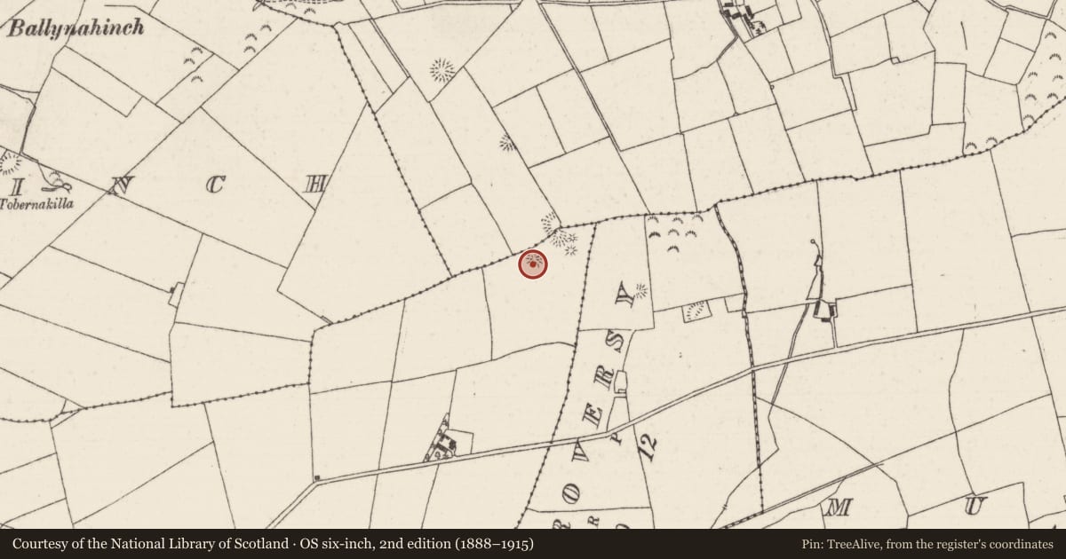 Ordnance Survey six-inch map, 2nd edition (1888–1915) covering the location of Barrow - ring-barrow, Farneigh, County Tipperary North, with a pin at the register's coordinates
