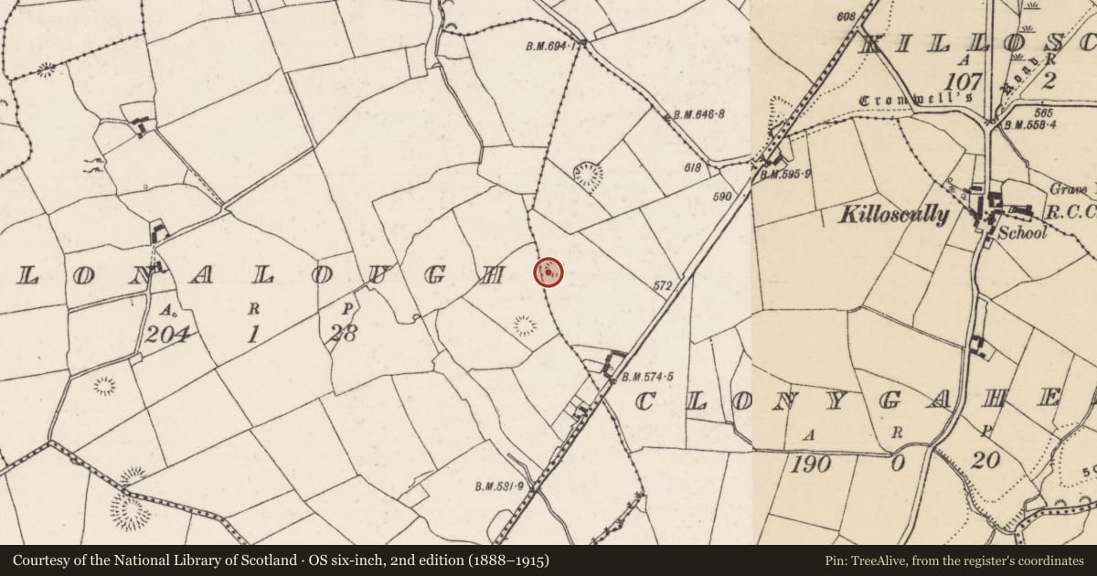 Ordnance Survey six-inch map, 2nd edition (1888–1915) covering the location of Ringfort - rath, Clonygaheen, County Tipperary North, with a pin at the register's coordinates