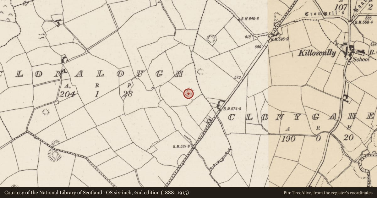 Ordnance Survey six-inch map, 2nd edition (1888–1915) covering the location of Ringfort - rath, Clonalough, County Tipperary North, with a pin at the register's coordinates