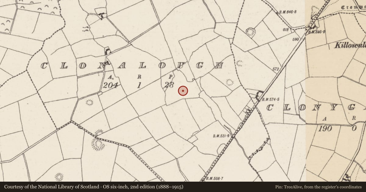 Ordnance Survey six-inch map, 2nd edition (1888–1915) covering the location of Standing stone, Clonalough, County Tipperary North, with a pin at the register's coordinates