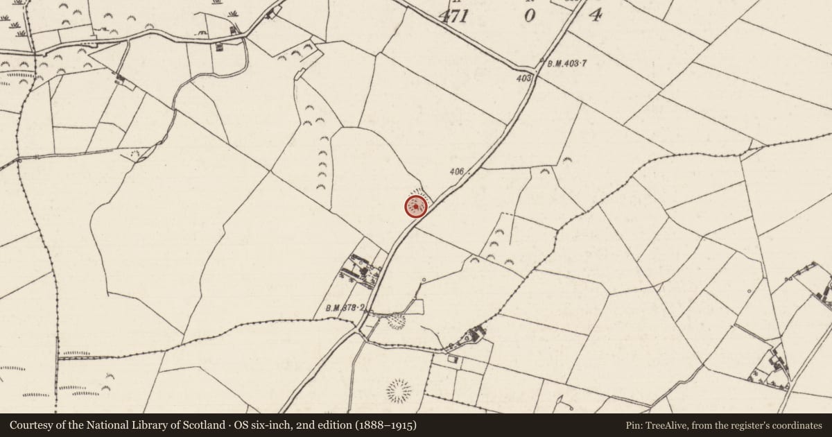 Ordnance Survey six-inch map, 2nd edition (1888–1915) covering the location of Ringfort - rath, Ballynahinch (Kilcomenty Par.), County Tipperary North, with a pin at the register's coordinates