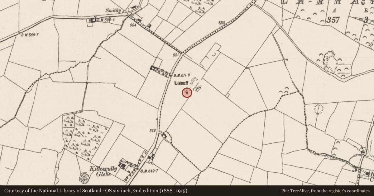 Ordnance Survey six-inch map, 2nd edition (1888–1915) covering the location of Ringfort - rath, Garraunbeg, County Tipperary North, with a pin at the register's coordinates