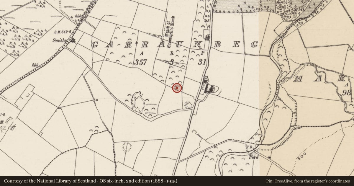 Ordnance Survey six-inch map, 2nd edition (1888–1915) covering the location of Ringfort - rath, Garraunbeg, County Tipperary North, with a pin at the register's coordinates