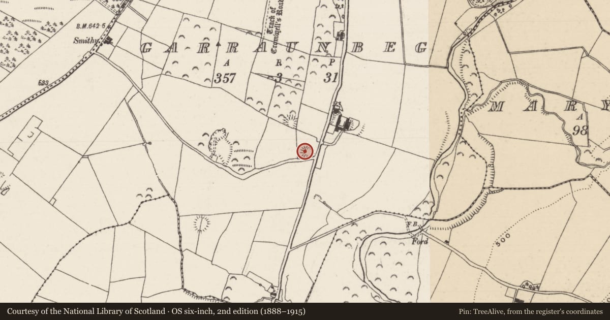 Ordnance Survey six-inch map, 2nd edition (1888–1915) covering the location of Ringfort - rath, Garraunbeg, County Tipperary North, with a pin at the register's coordinates