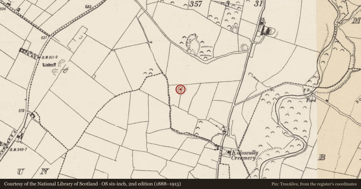 Ordnance Survey six-inch map, 2nd edition (1888–1915) covering the location of Ringfort - rath, Garraunbeg, County Tipperary North, with a pin at the register's coordinates