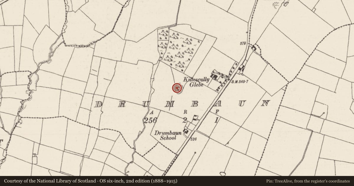 Ordnance Survey six-inch map, 2nd edition (1888–1915) covering the location of Ringfort - rath, Drumbaun (Killoscully Par.), County Tipperary North, with a pin at the register's coordinates