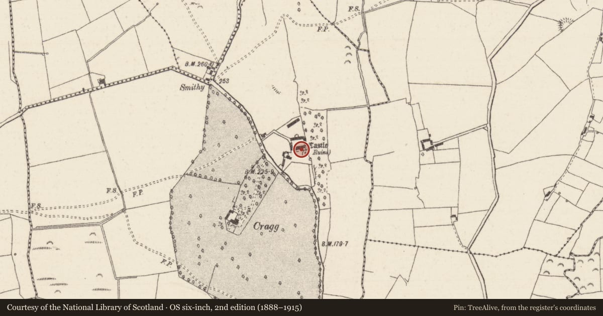 Ordnance Survey six-inch map, 2nd edition (1888–1915) covering the location of Castle - tower house, Cragg, County Tipperary North, with a pin at the register's coordinates