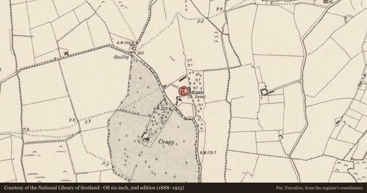 Ordnance Survey six-inch map, 2nd edition (1888–1915) covering the location of Bawn, Cragg, County Tipperary North, with a pin at the register's coordinates